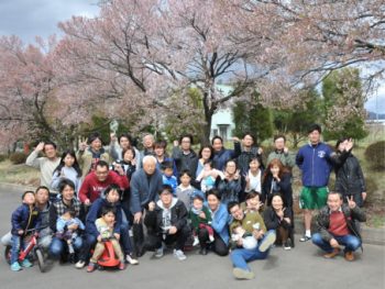 年間行事 4月　お花見